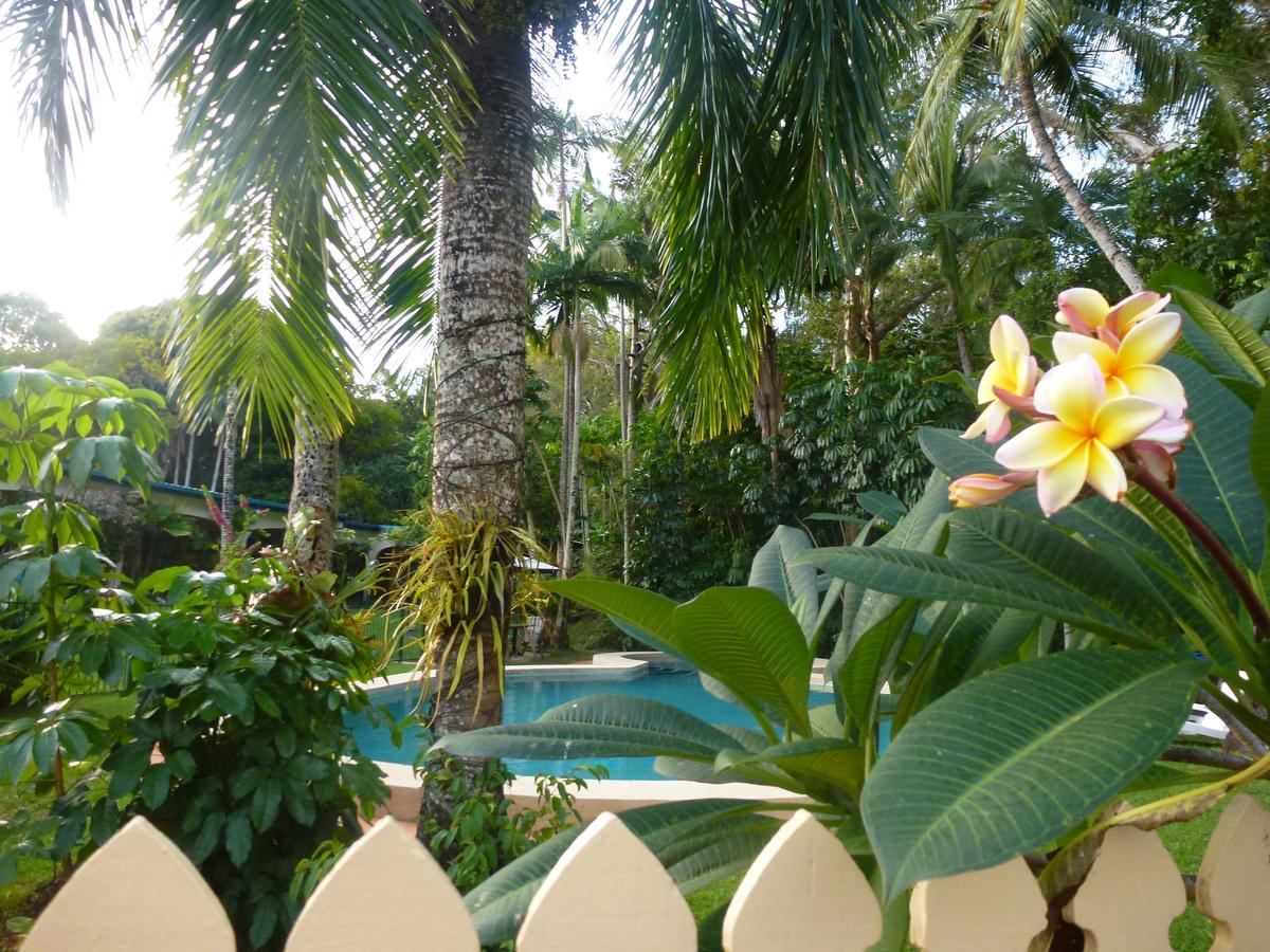 Villa Marine Holiday Apartments Cairns Yorkeys Knob Екстериор снимка
